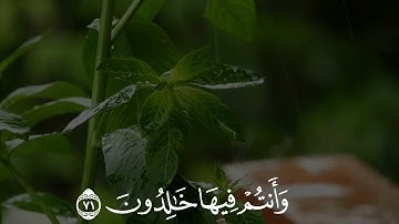 تلاوة رائعة تريح النفس 🤍 ﴿ الأخِلاءُ يَوْمَئِذٍ بَعْضُهُمْ لِبَعْضٍ عَدُوٌّ إِلا الْمُتَّقِينَ ﴾