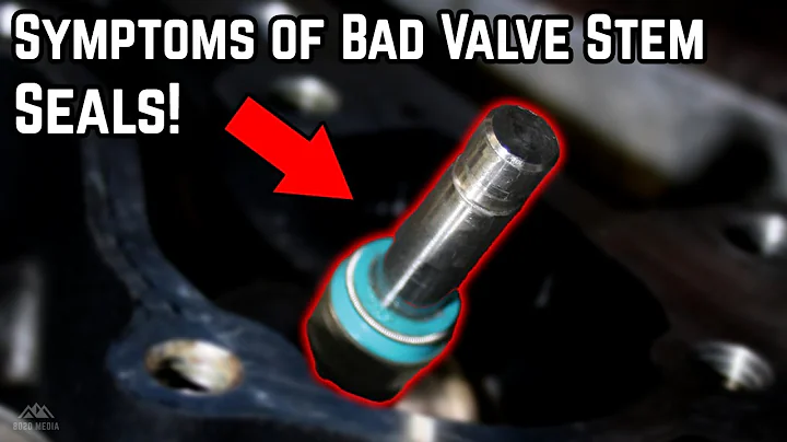 Signs & Symptoms of Bad Valve Stem Seals!