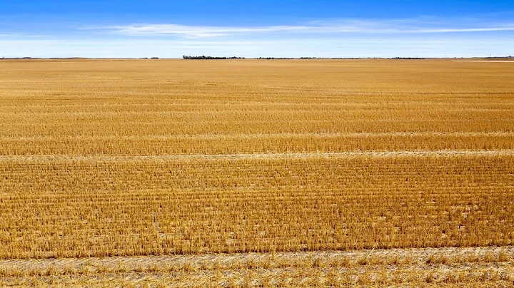 KEYWEST FARM - 5,220 ACRE PRODUCTIVE GRAIN FARM FOR SALE - OGEMA, SK RM's 70 & 69