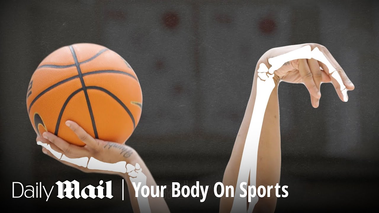 What Basketball Really Does to the Human Body | Your Body On Sport | Daily Mail Thumbnail