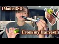 I Made RSO From My Harvest I Made RSO From My Harvest