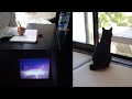自粛の一日 : ドラマと勉強と猫