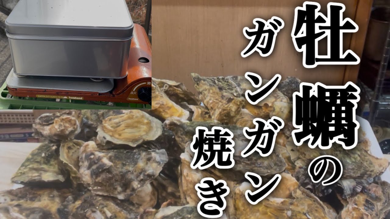 三重県浦村の牡蠣でガンガン焼き#牡蠣#かき #カキ 