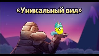 Клуб Пингвинов | Уникальный вид (Новая песня Клуба Пингвинов)