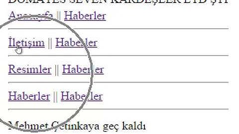ASP.NET Basit Dinamik Site 2