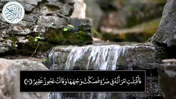 {هَلْ أَتَاكَ حَدِيثُ ضَيْفِ إِبْرَاهِيمَ الْمُكْرَمِينَ ۝🎙️🎧 🌸تلاوة ندية وعذبة🌿 بصوت&أحمد سويد