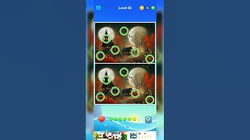 Spot and Find the Differences Level 35