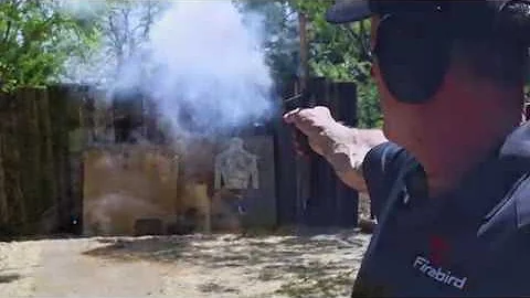 Firebird Targets Video Clips