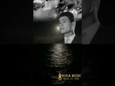 حبيبي شايفك وانت بعيد عبدالحليم حافظ