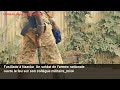Fusillade à Nzacko Un soldat de l'armée nationale ouvre le feu sur son collègue militaire_mixé