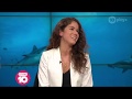Dived With Sharks, Attacked By A Croc | Studio 10