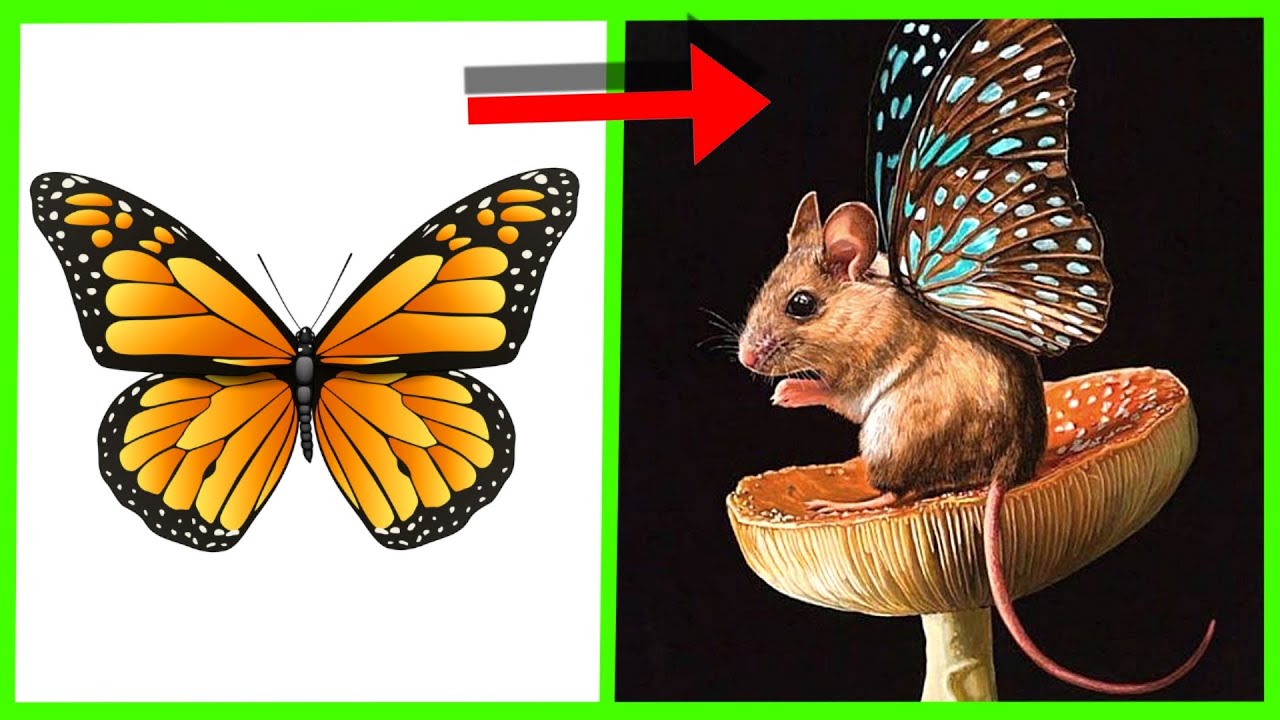 Grazy Morph Animals New Animals. Panda,Mouse,Peacock Butterfly ...