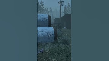 When You Ask For Help in DayZ