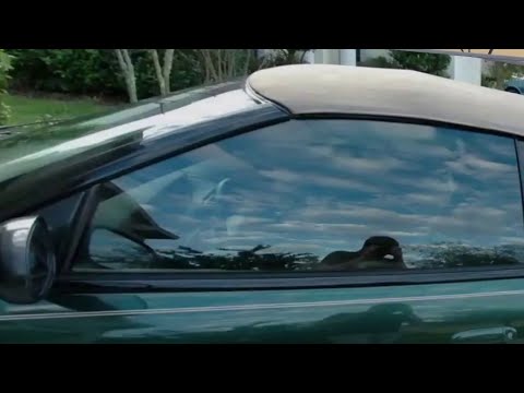 What States Allow Front Windshield Tint