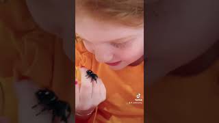 Fun Interactive And Easy Pets