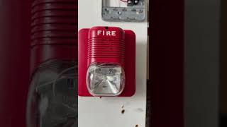 System sensor P2475 classic #firealarms