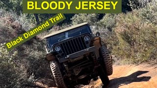 Bloody Jersey Trail in our vintage Willys Jeeps/ Wildomar OHV/ Black Diamond trail/ Cj2A/ CJ5/MB/GPW