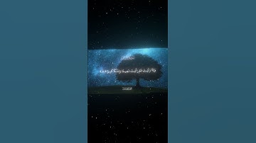 سورة الإنسان|20-21|القارئ:#محمد_اللحيدان #قران #quran #راحة_نفسية #قران_كريم#تلاوة_هادئة#تلاوة_خاشعة