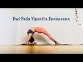 Dwi Pada Viparita Dandasana (Two-Legged Inverted Staff Pose) With Shana Meyerson YOGAthletica