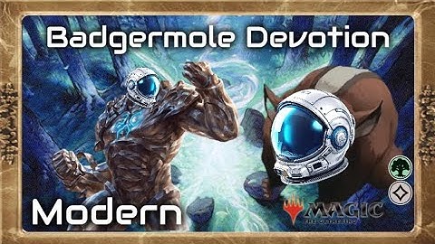 So Many Different Routes To Infinite! Badgermole Devotion - Modern