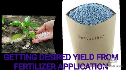How To Get Best Yield From Fertilizer | Do