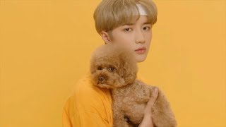 if txt cat & dog was dubbed