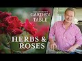 Fresh Herbs Cooking and Harvesting | Garden to Table 201