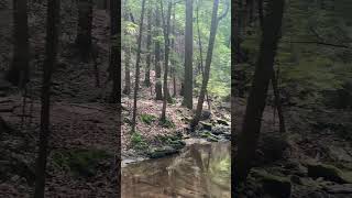 Water Over Rocks on Eagle Creek 🦅 💧 🪨 🏕️ 🌲 #hiking #backpacking #nature