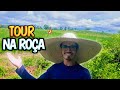 ✅MOSTREI TUDO que temos PLANTADO na ROÇA🤠 🌱