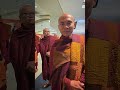 Venerable Monk Travelling to New York for UN Vesak Commemoration 🙏🏻🌿 #walkforpeace #alokathepeacedog