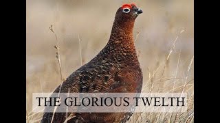 Ep 14 - THE GLORIOUS 12TH