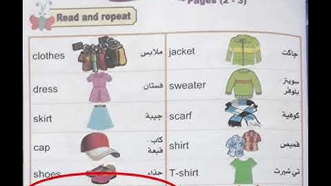 كونكت بلس أولى ابتدائي/الوحدة السابعة الدرس الأول/ connect plus 1unit 7 lesson 1