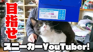 【スニーカー】目指せ！スニーカーYouTuber！～MIZUNOレビュー編～