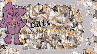 【Cats Huddled Together】其實我比較喜歡狗狗，可是我是貓派
