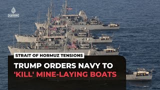 Trump orders US Navy to ‘shoot and kill’ any boat putting mines in Strait of Hormuz