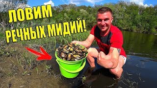 Ловим Речных Мидий! Готовим На Костре! / Виталий Зеленый