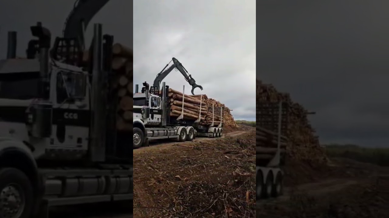 Jacks logging truck down in Oz 