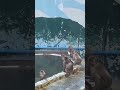 ちゃんとお笑い分かってて草