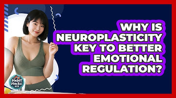 Why Is Neuroplasticity Key To Better Emotional Regulation? - Habit Hacks Hub