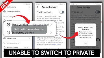 Instagram Professional Account Not Switching to Personal Account Problem