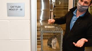 Burlington Animal Services - Facility Renovation and Expansion