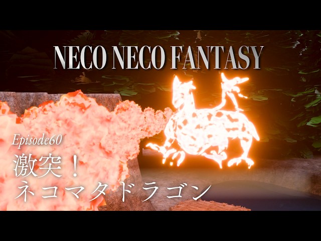 【ep60】激突！ネコマタドラゴン｜NECO NECO FANTASY