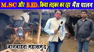 MSC और BED किया लड़का कर रहा है भैंस पालन । । Msc or Bed kiya boy Kar raha hai Buffalo Farming