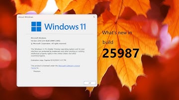 Windows 11 Canary build 25987 and what