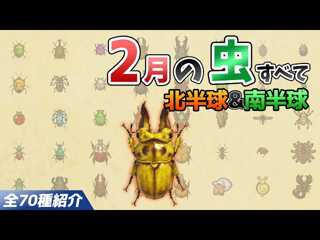 Animal Crossing: New Horizons] Introducing all the insects you can