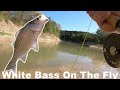 Fly Fishing For White Bass {Catch Clean Cook} We Rescued Stranded Fisherman