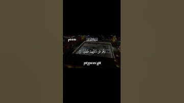 لو سمعت التلاوة دي مرة مش هتبطل تعيدها