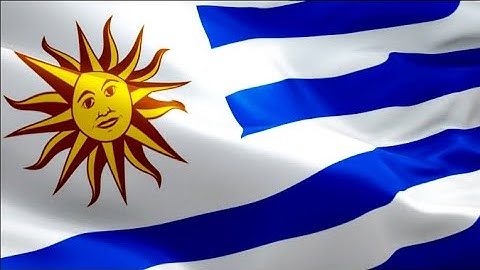 Uruguay flag video waving in wind. Realistic Montevideo Flag background. Uruguayan flag Full