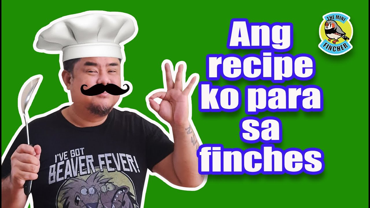 Ep.8:  What I feed my finches