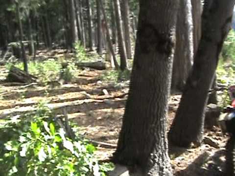 Dirt bike riding Grass Valley California Oct 28th 2010